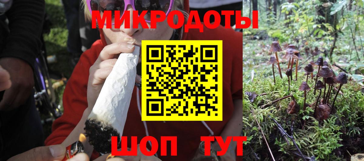 Котлас  Псилоцибиновые грибы мухоморы  Вход с VPN 