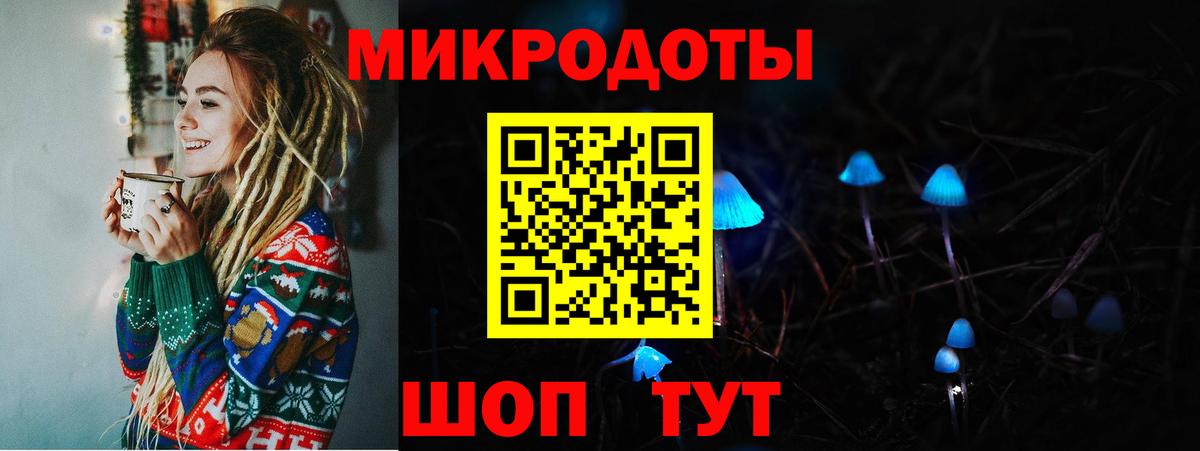 Галлюциногенные грибы Psilocybe Котлас